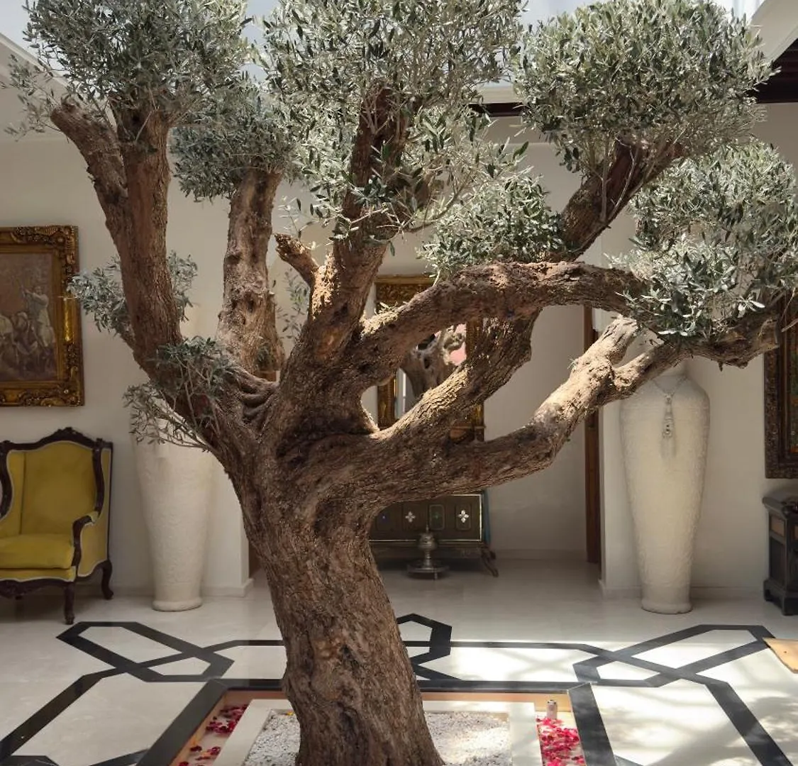 Albakech Boutique Hotel & Spa Marrakesh Riad